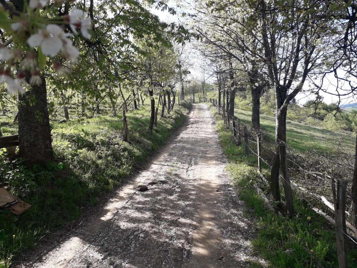 Bed and Breakfast Turizam Koturovic Іваніца Екстер'єр фото